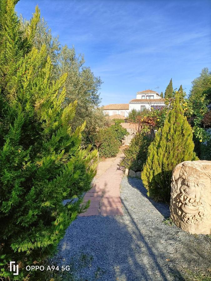 Morente Suena La Alhambra Granada Esterno foto
